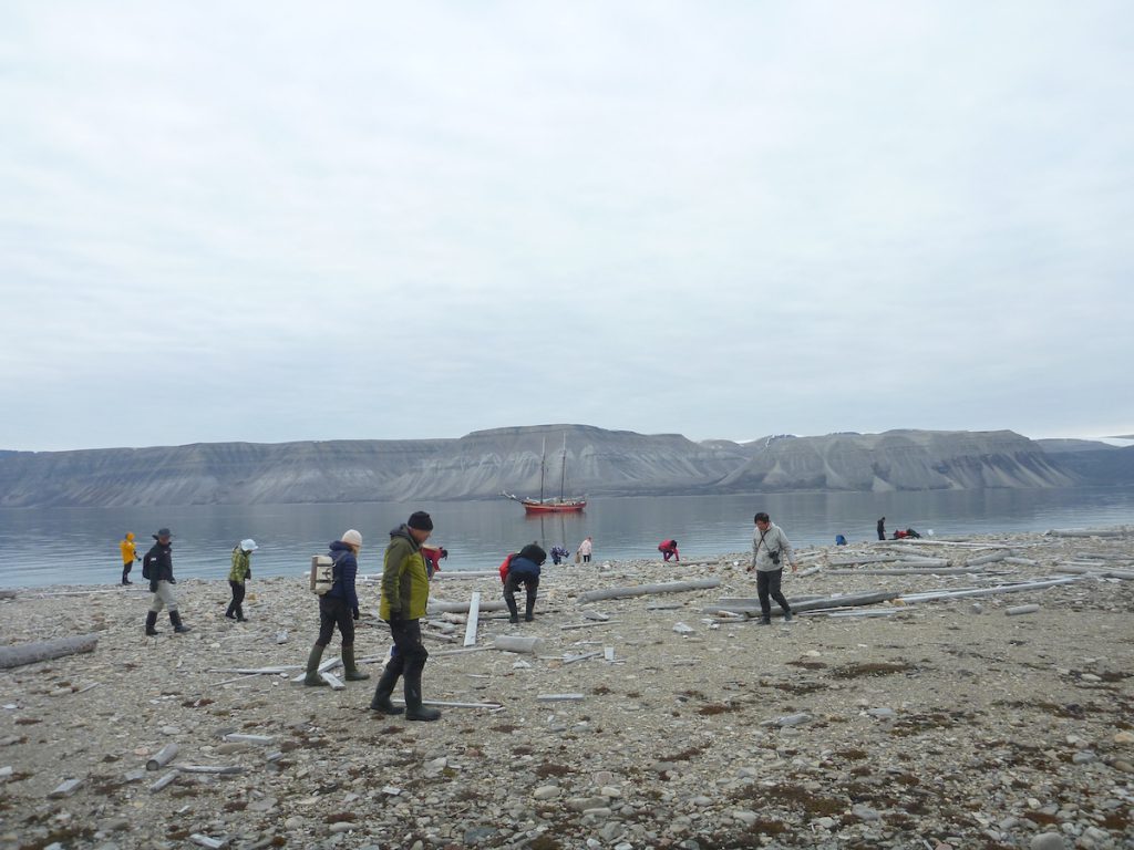 Arctic beach litter