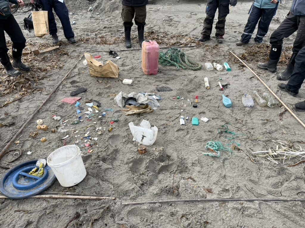 Plastic in the Arctic